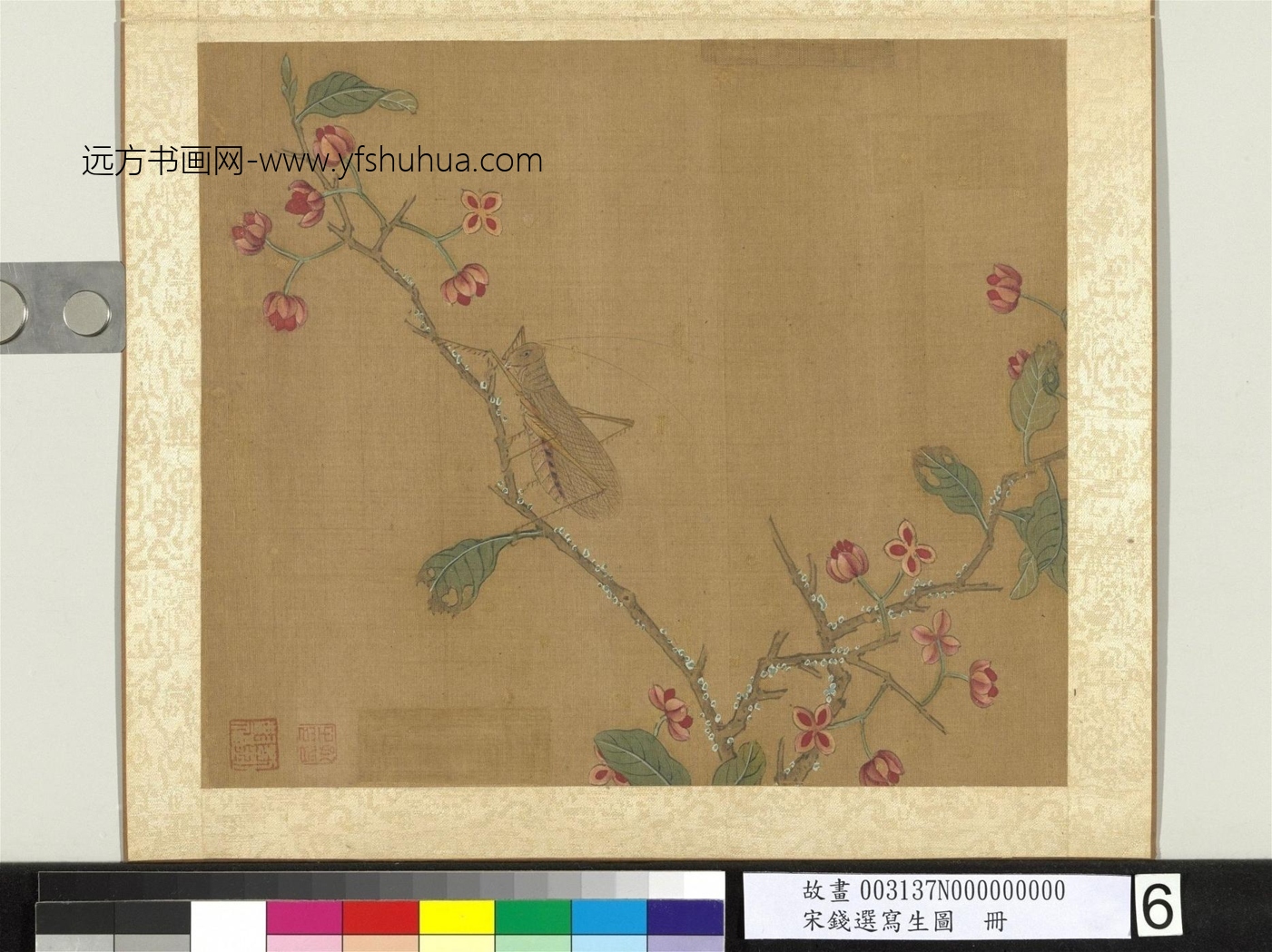 元_钱选_宋钱选写生图册　花草螽斯